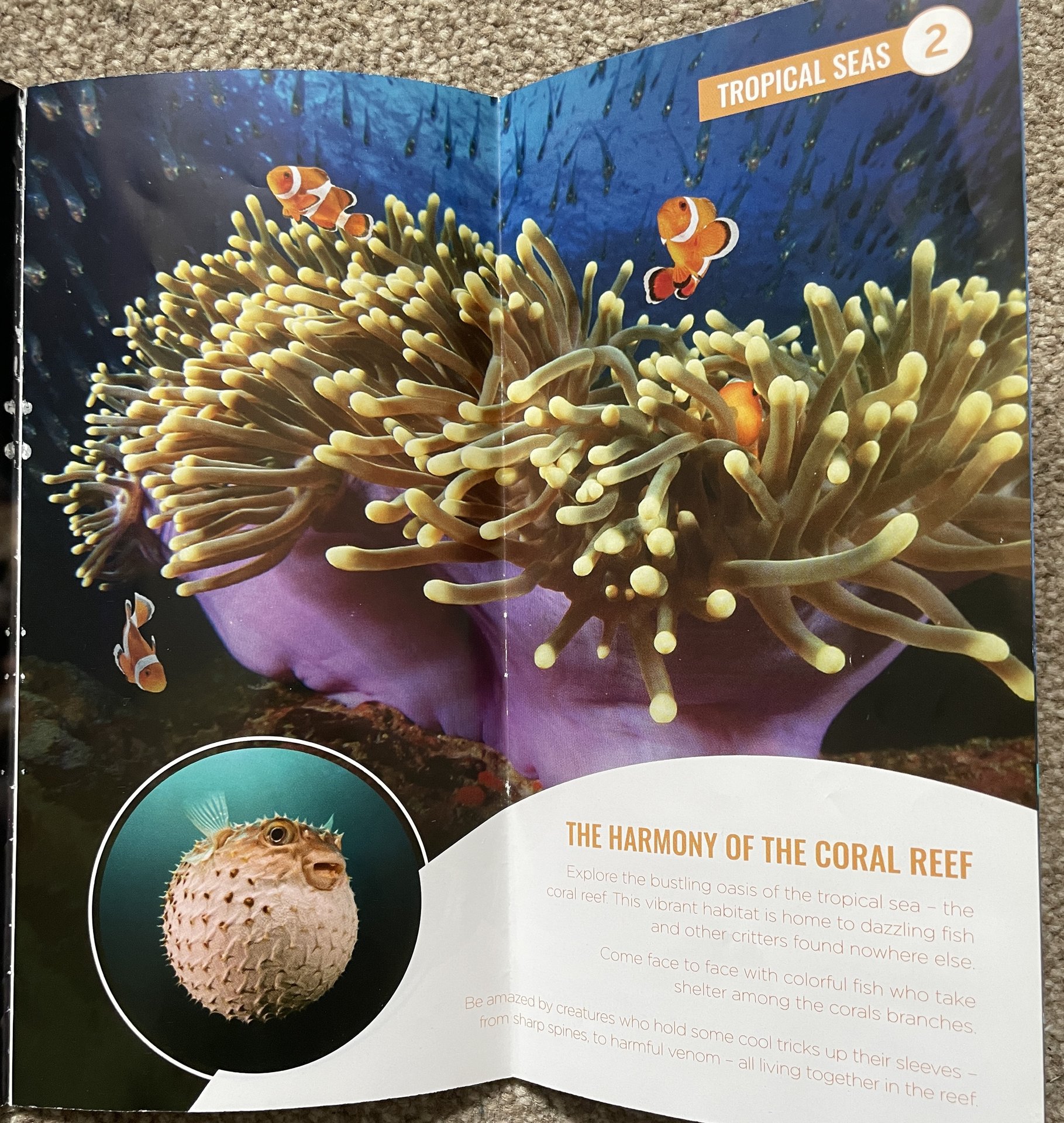 Palma Aquarium 2