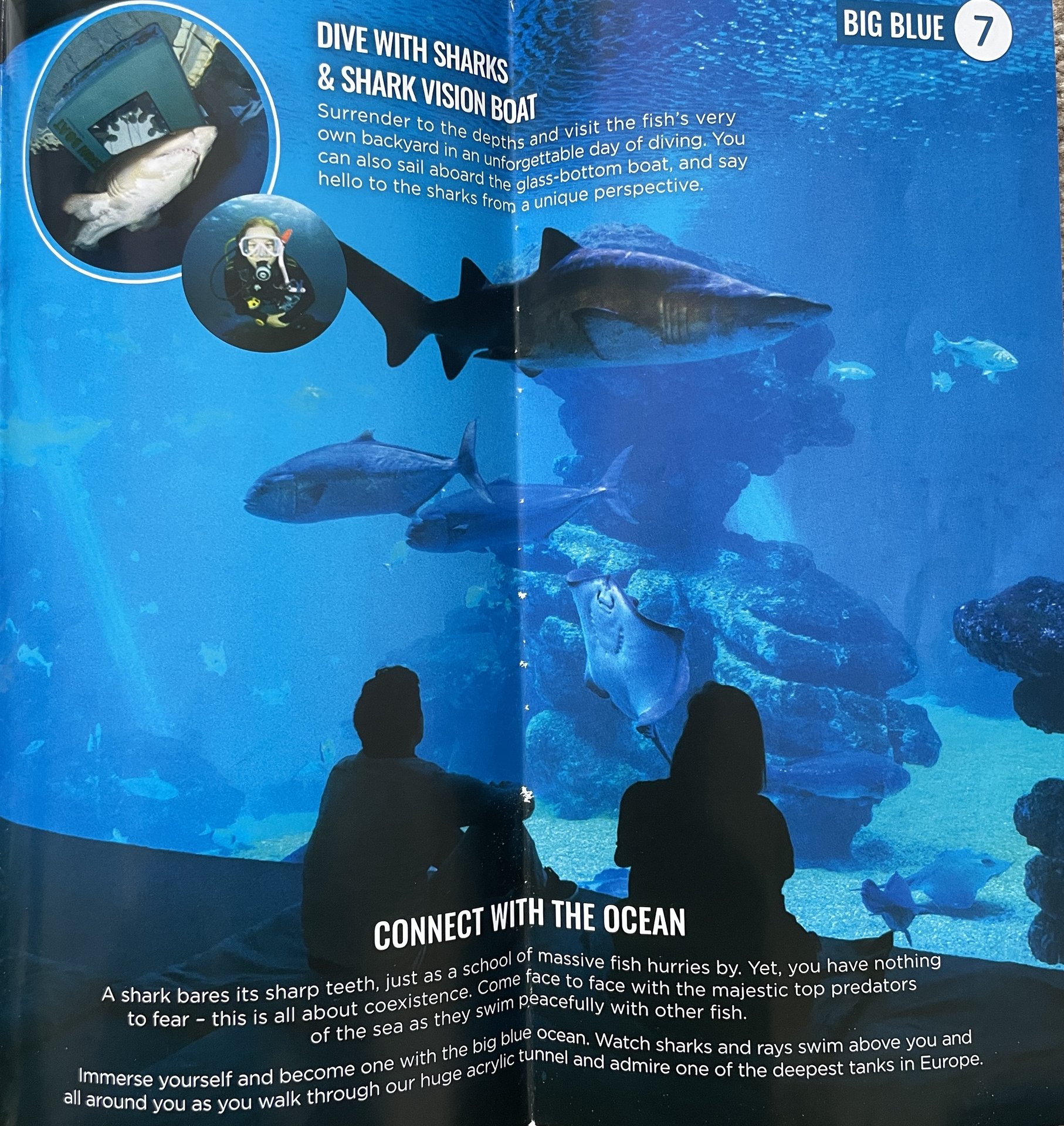 Palma Aquarium 5