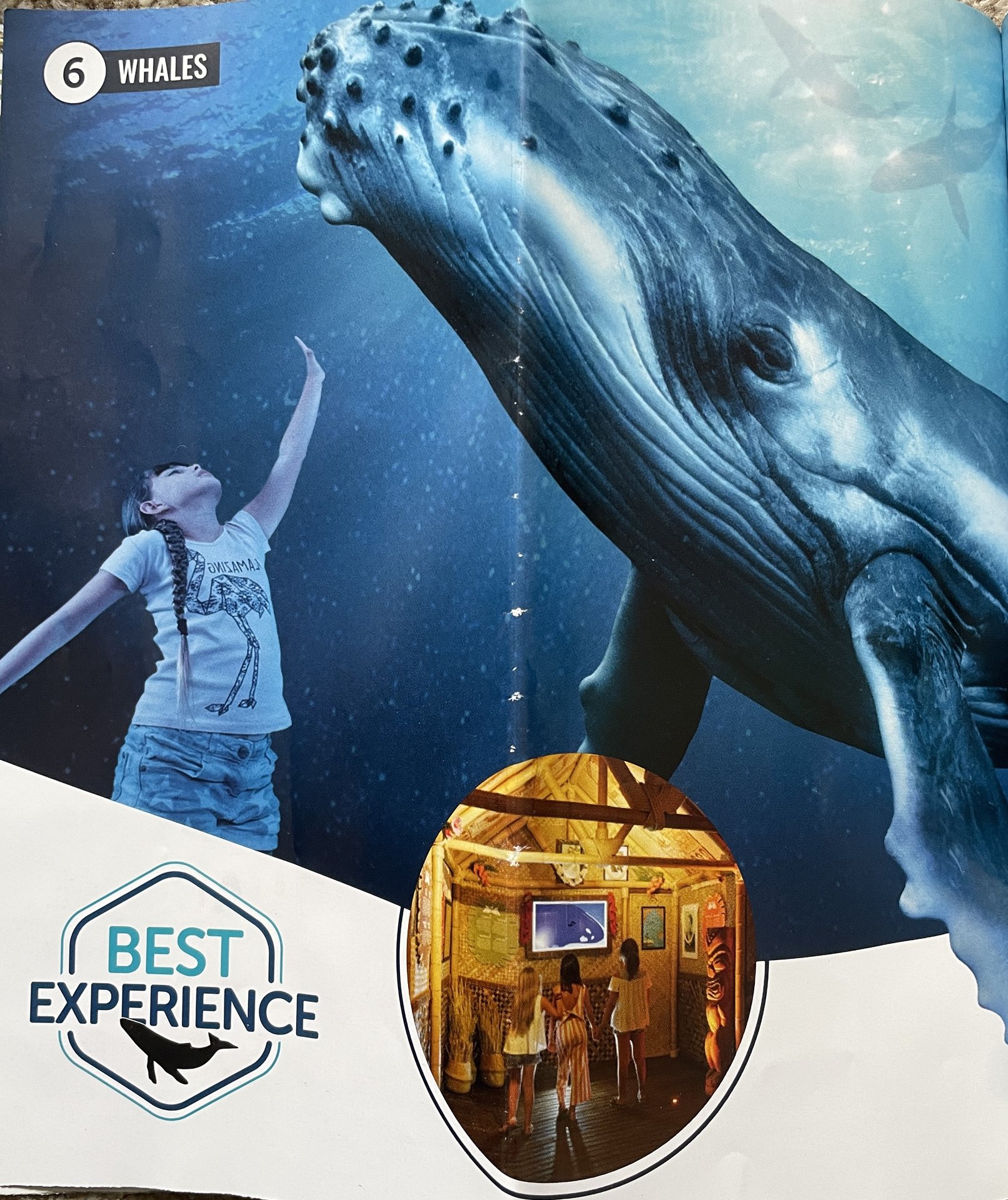 Palma Aquarium 5