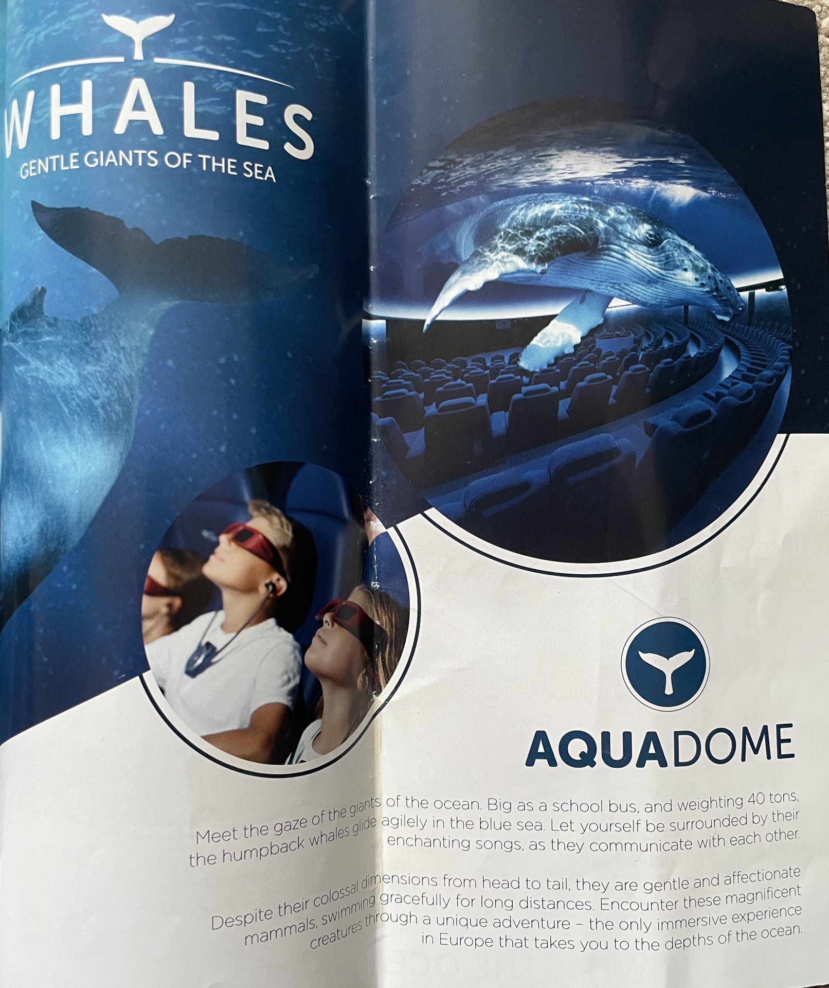 Palma Aquarium 5