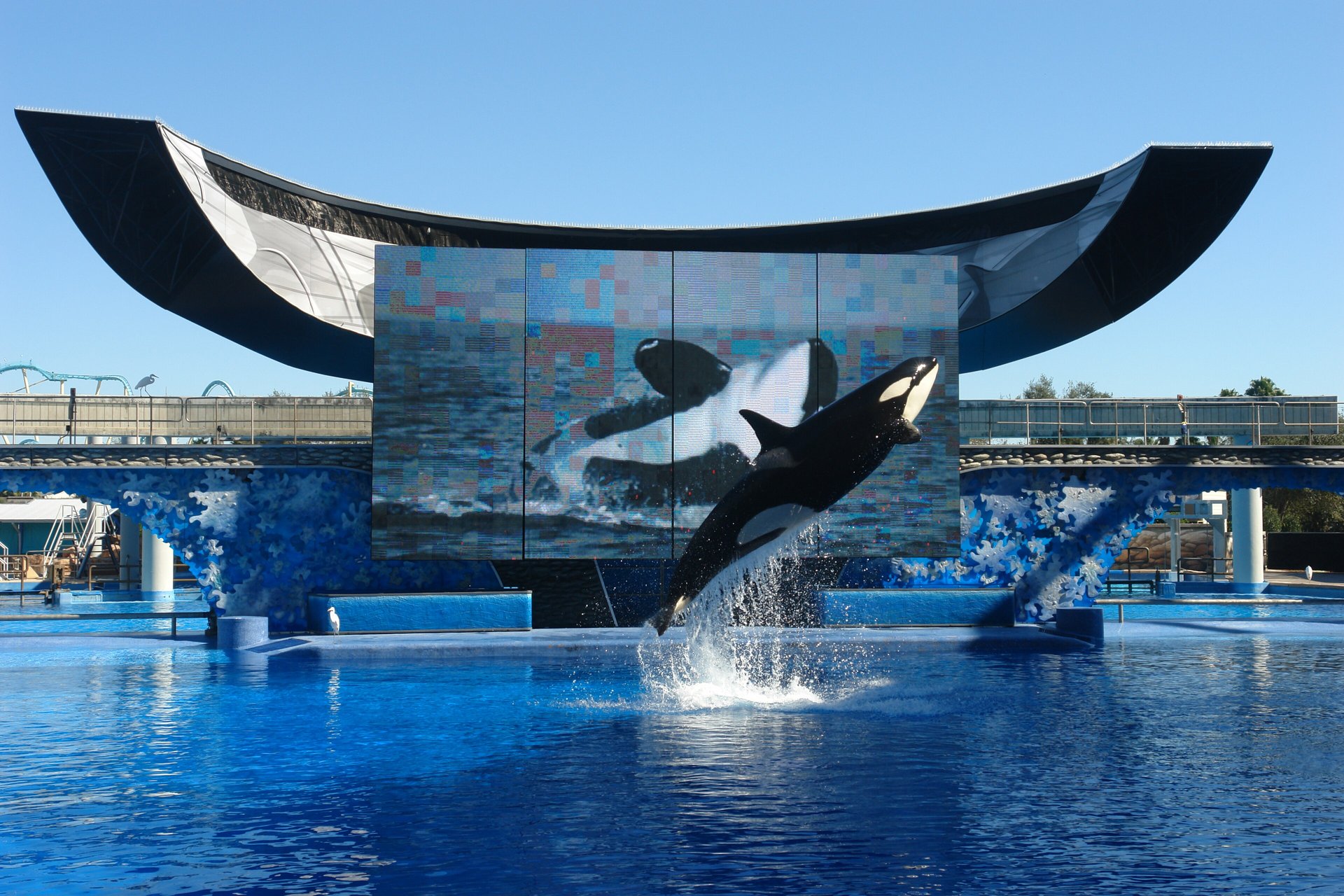SeaWorld Orlando placeholder image